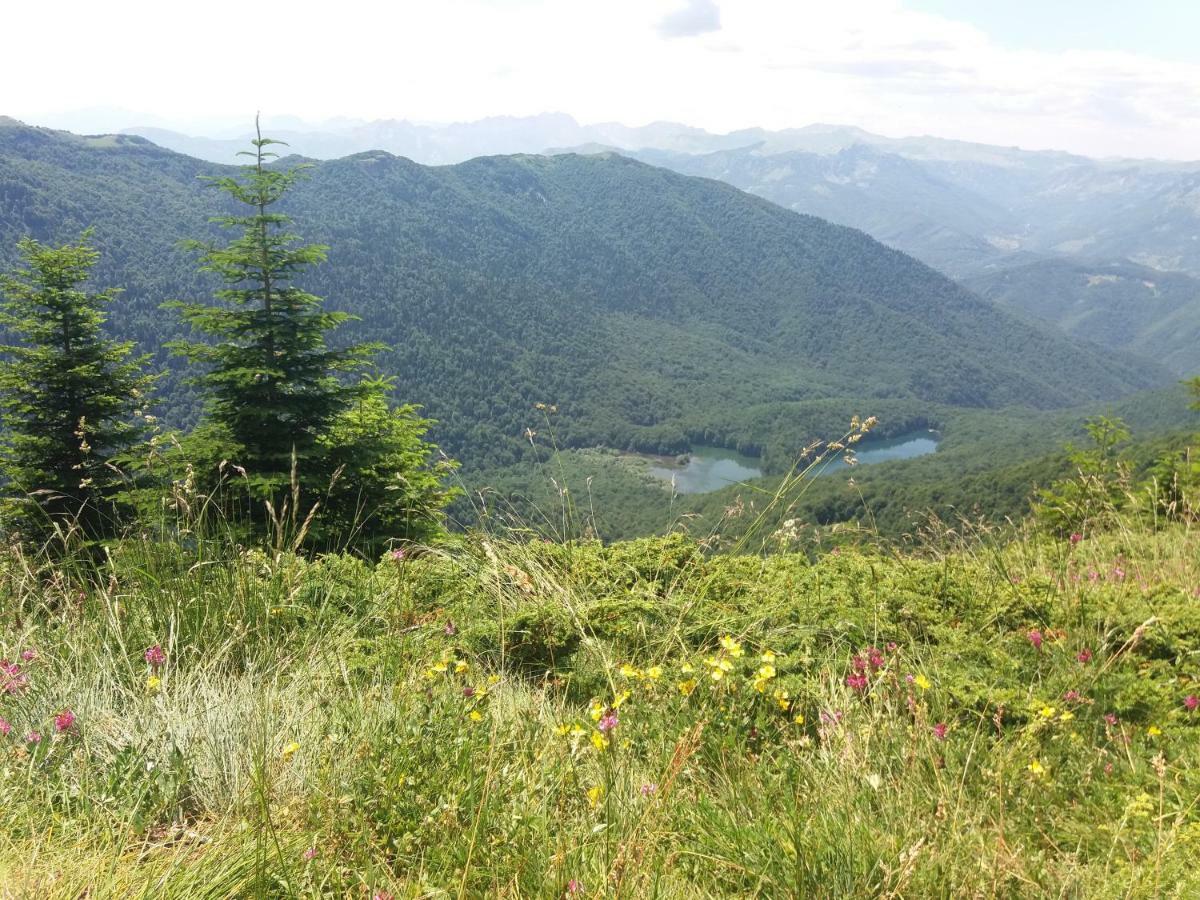 Eko Katun Damjanovic - Bjelasica Mojkovac Eksteriør billede