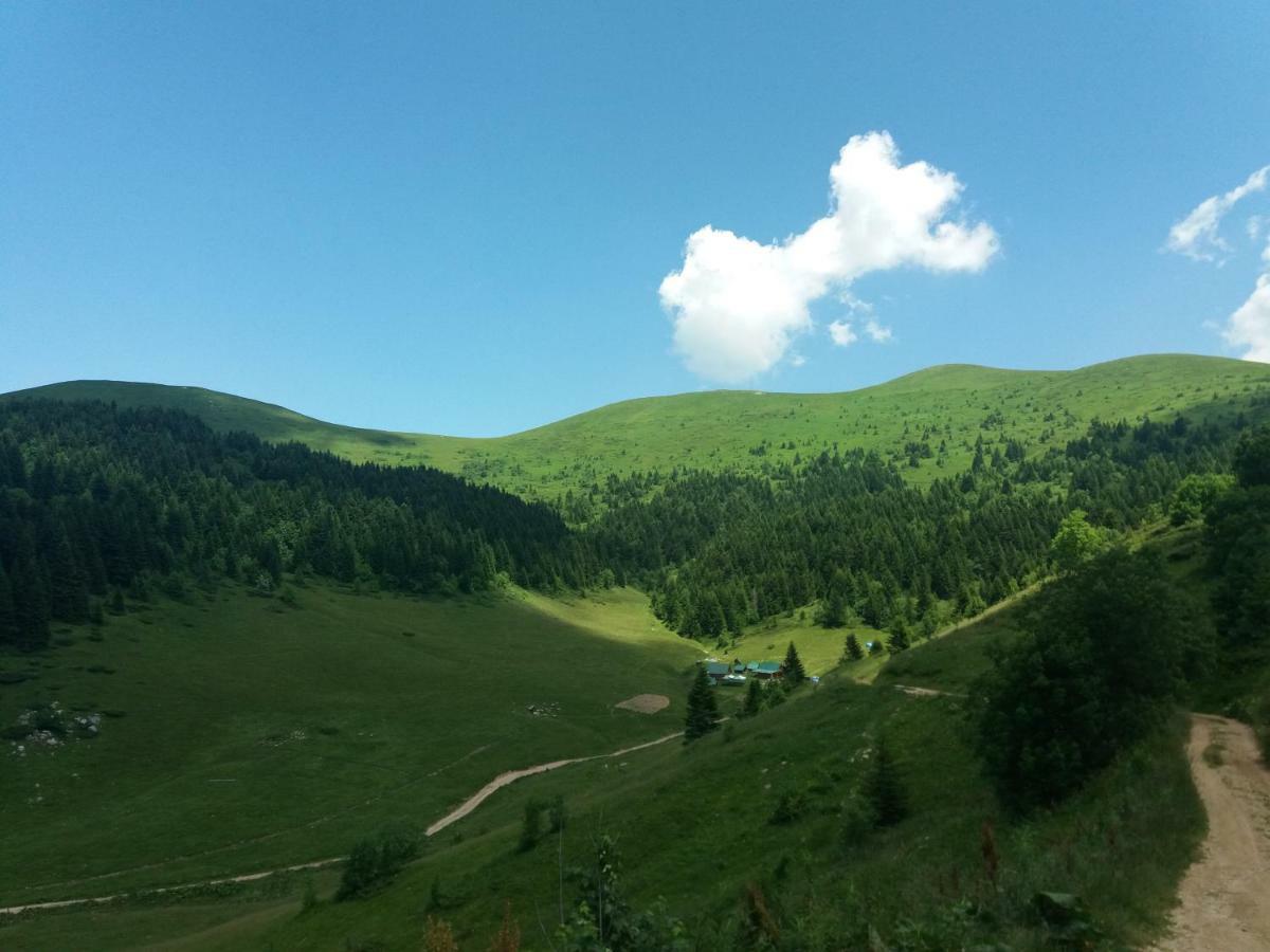 Eko Katun Damjanovic - Bjelasica Mojkovac Eksteriør billede